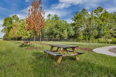 Double Branch - Picnic Tables