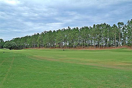 Fuzzy Zoeler Designed Golf Course
