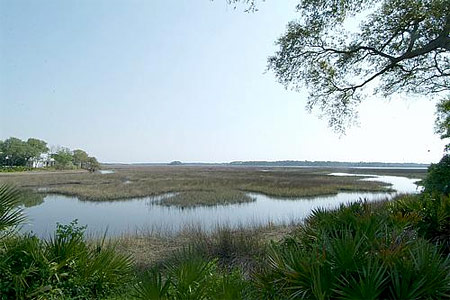 Marsh Views